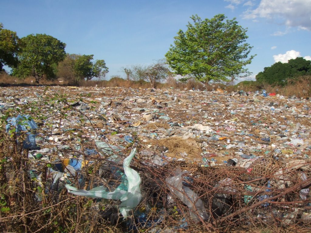 voici le "compost" vendu par la mairie