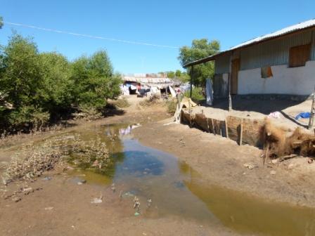 L'abattoir municipal déverse régulièrement le sang des zébus dans le quartier